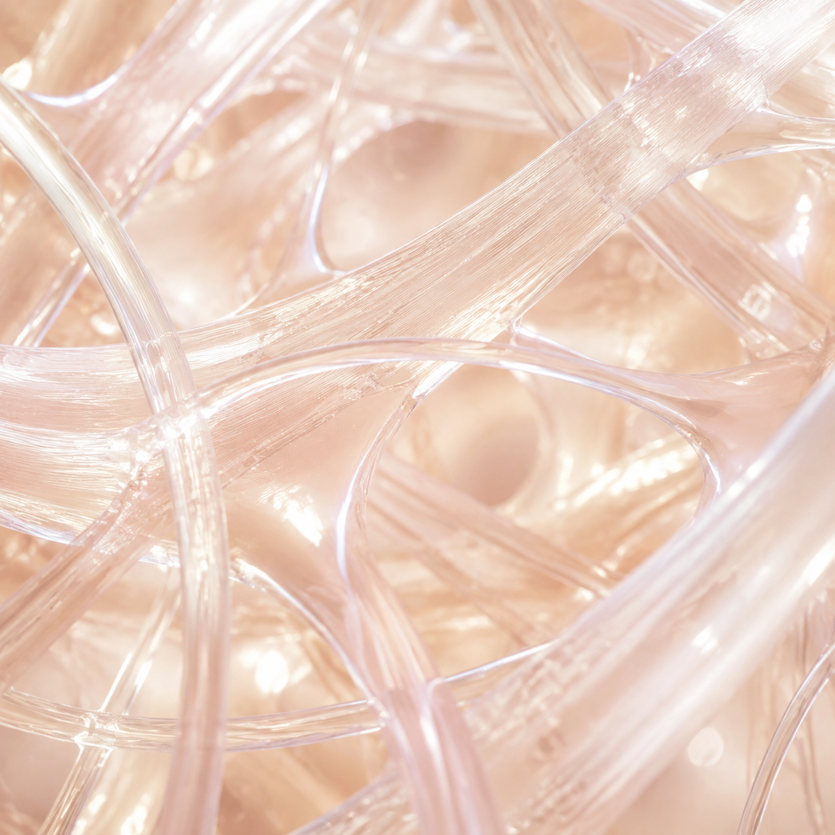 COLLAGEN